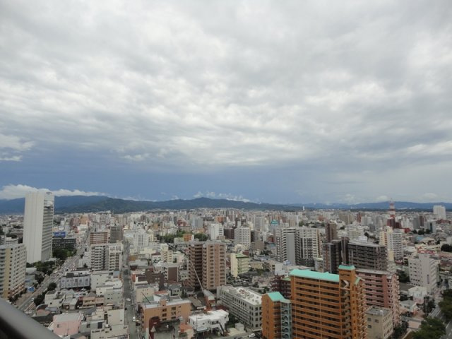 ザ・ライオンズ久留米ウェリスタワーの展望