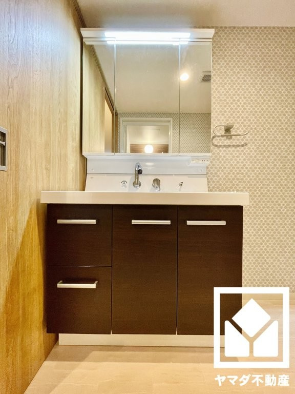 ルミエール桂川の独立洗面台