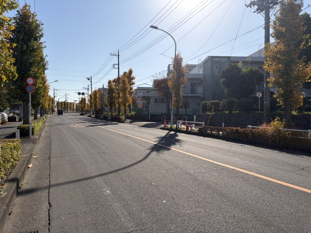 【その他】 | 東大和グリーンタウン3号棟 | 前面道路を含む写真です。歩道の木々がお洒落な道路です(^^♪