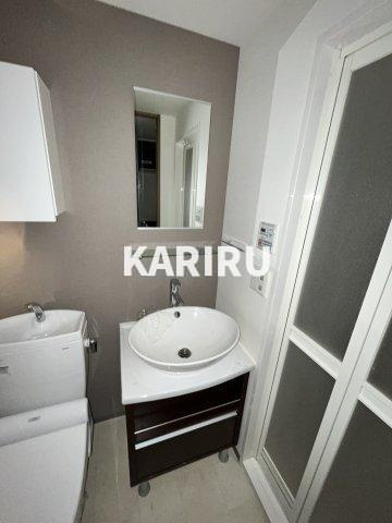 レジュールアッシュ大阪城NORDの洗面所