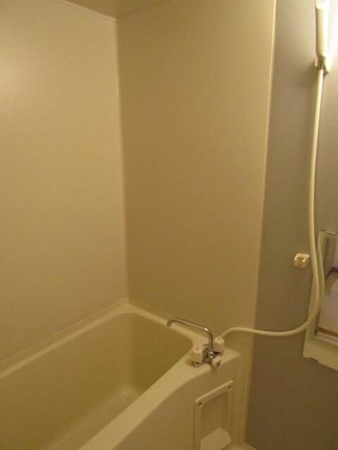 ルーシッドコートの浴室