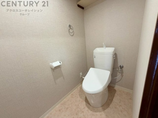 温水洗浄便座付トイレは温水洗浄機能により、暖かい水でおしりを洗浄することができ、冷たい水を使う従来の便座に比べ、温水洗浄機能で暖かいトイレを提供し、快適な使用を可能にします。