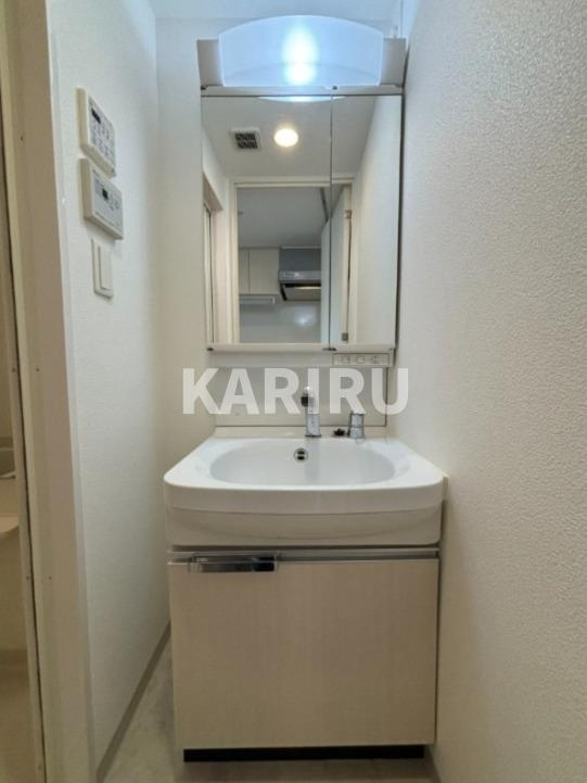 プレサンス玉造駅前 の洗面所