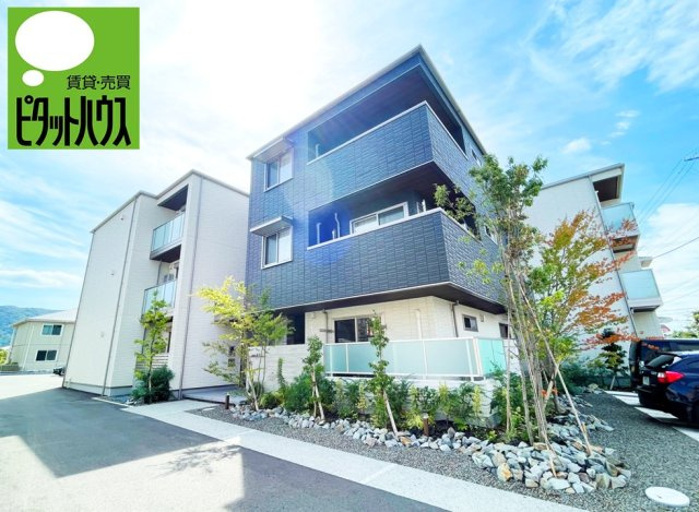 ベレオ北矢三【ＢＥＬＳ認証】