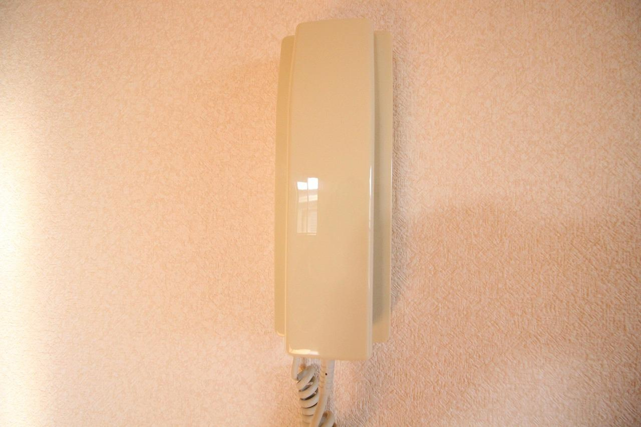 ラフィーネ二ツ屋のセキュリティ|※お部屋により仕様が異なる場合があります※