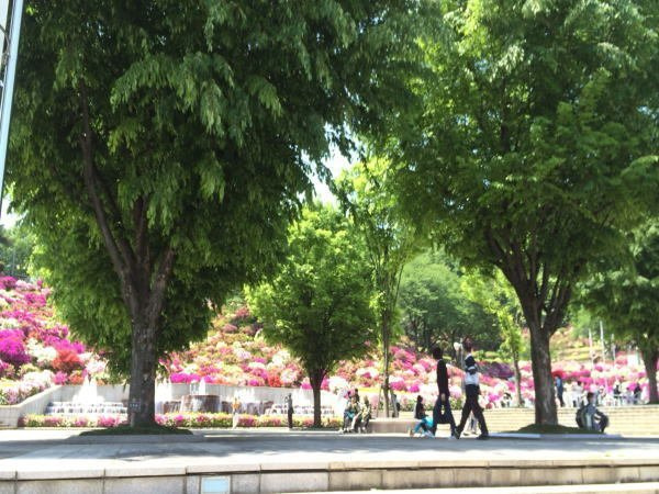 アクア・リヴェール　ドームの周辺|西山公園まで1300m