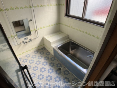 【周辺】 | 南大通5丁目52-4、29-4売地