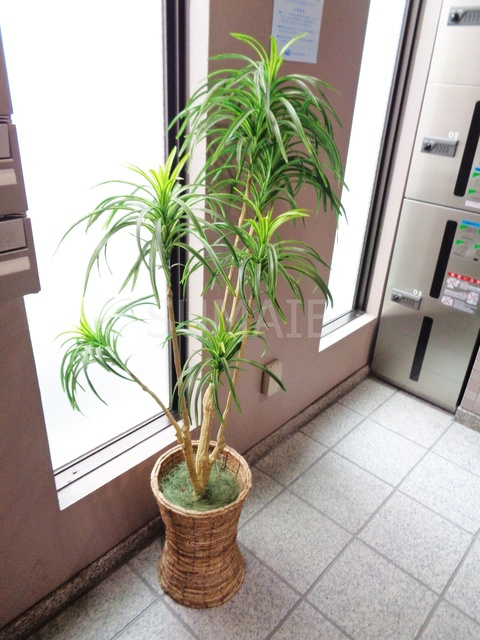 ノベル田端のその他|植栽です☆