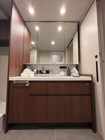 コスモ元浅草　10Fの独立洗面台