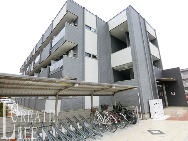 プラシード（田島）