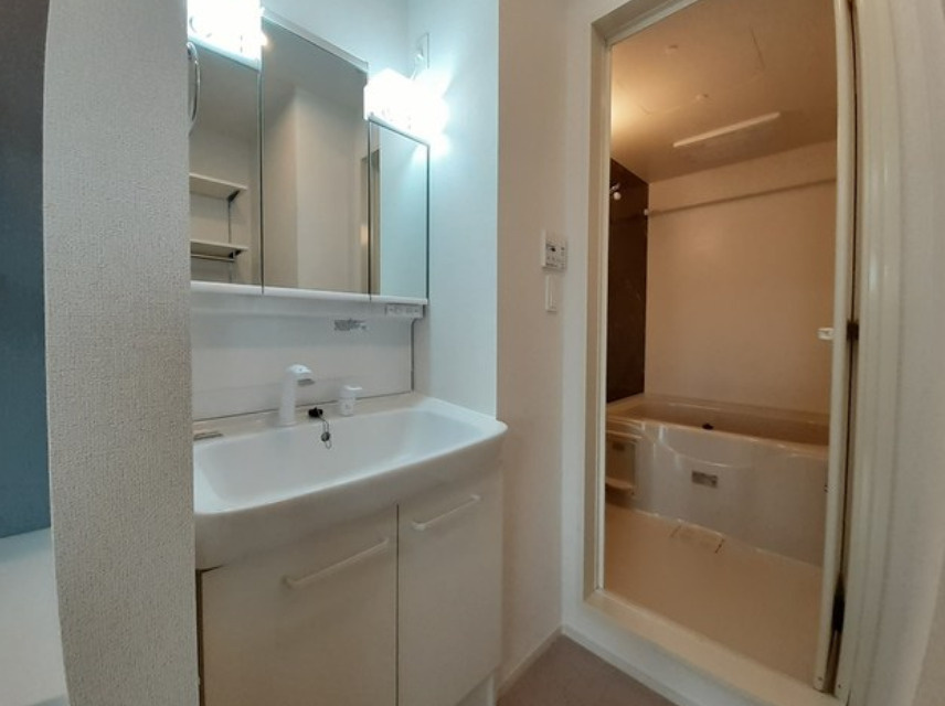 フェリスⅢの洗面所