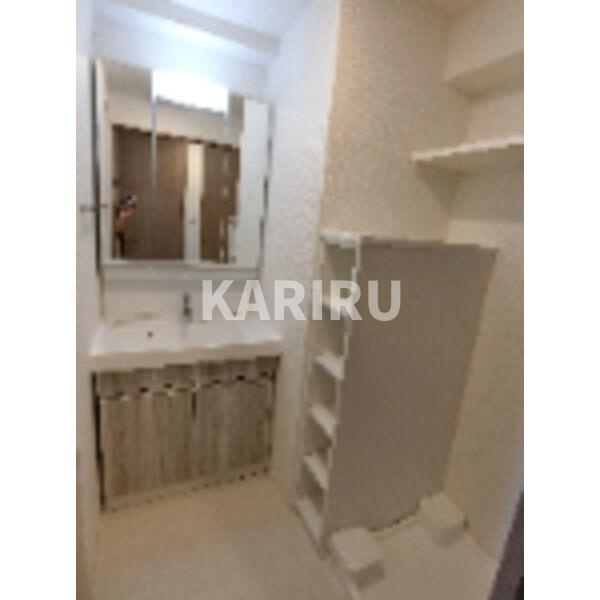 レオンコンフォート都島Ⅱの洗面所|同物件別部屋の写真です。