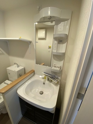 【洗面所】 | セオリー大阪フルール