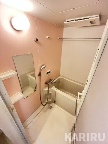 リッツ桜宮パークフロントの浴室