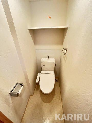 リッツ桜宮パークフロントのトイレ