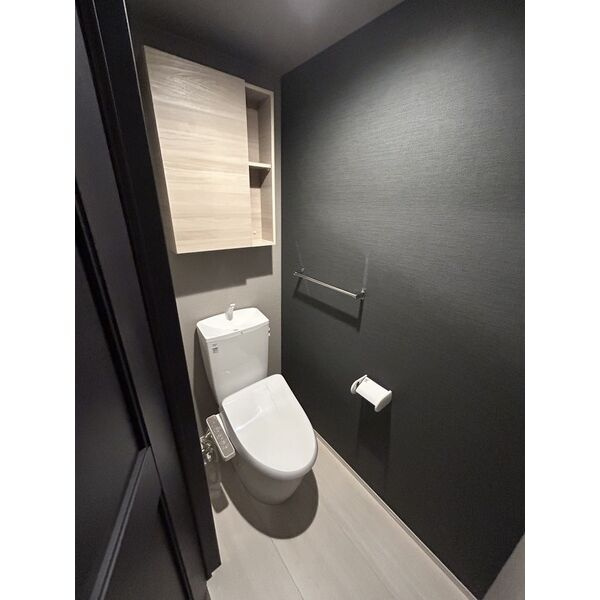 ザ・アパートメント谷上のトイレ