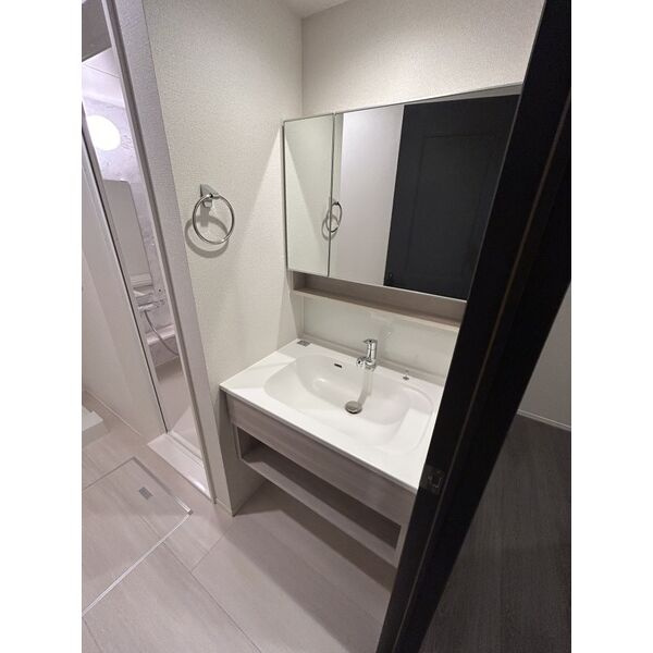 ザ・アパートメント谷上の洗面所