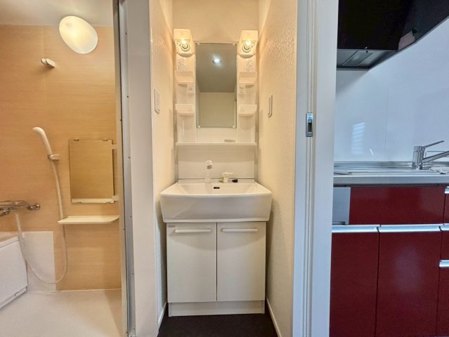 パレ　シェーヌ　デ　クールⅢの洗面所