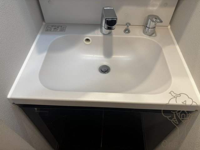 S-RESIDENCE大和田alineの洗面所