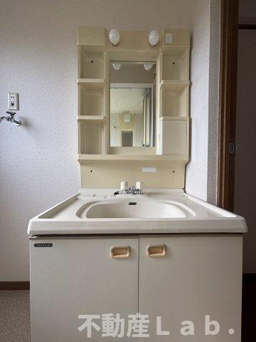 ハイツ渡辺の洗面所