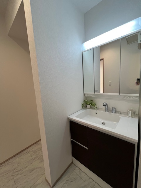 【独立洗面台】の画像