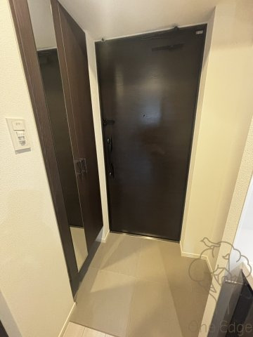 S-RESIDENCE大和田alineの玄関