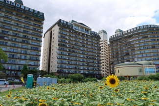 【外観】 | 琵琶湖アーバンリゾートⅡ番館