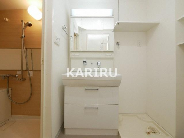 BROU上町台(ブラウウエマチダイ)の洗面所