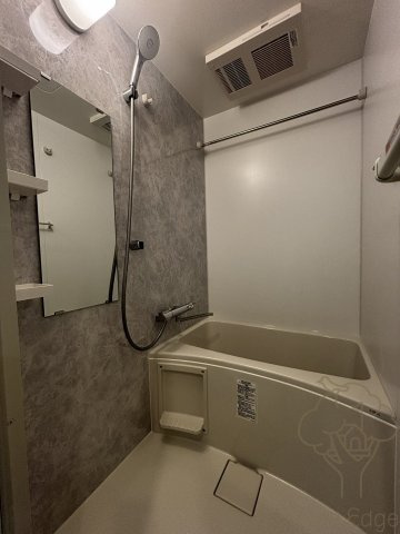 S-RESIDENCE大和田alineの浴室