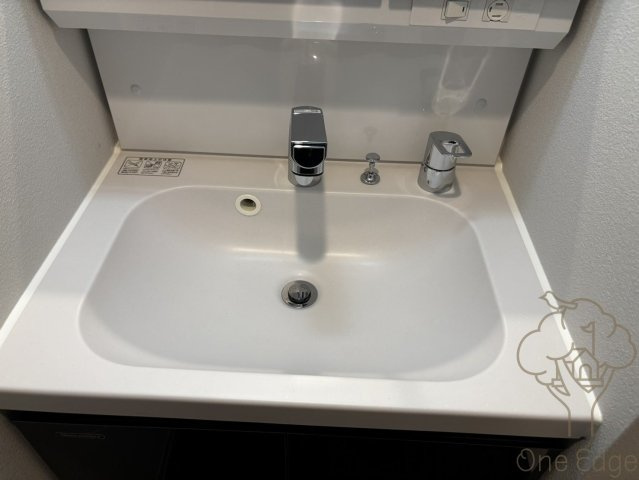 S-RESIDENCE大和田alineの洗面所