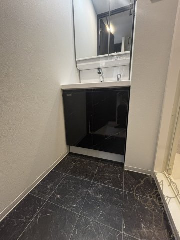 S-RESIDENCE大和田alineの洗面所