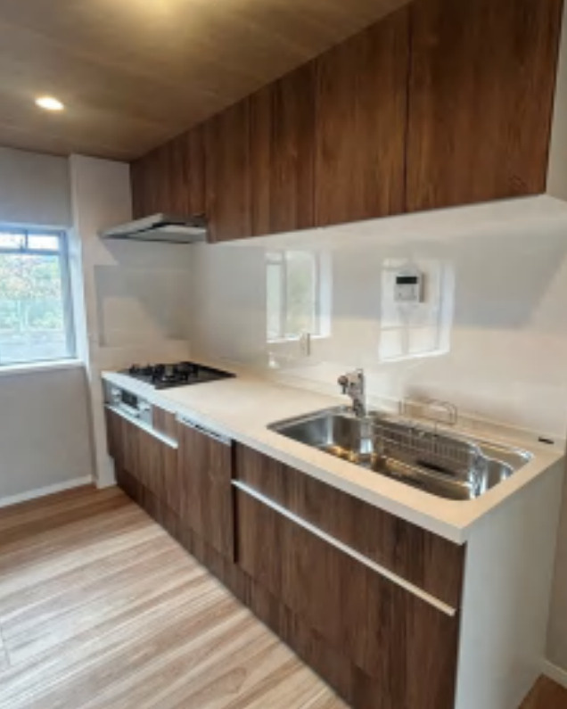 永田町ビューハイツ【仲介手数料無料】ペット可♪のキッチン