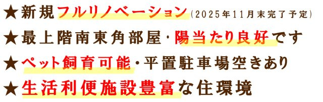 永田町ビューハイツ【仲介手数料無料】ペット可♪のその他