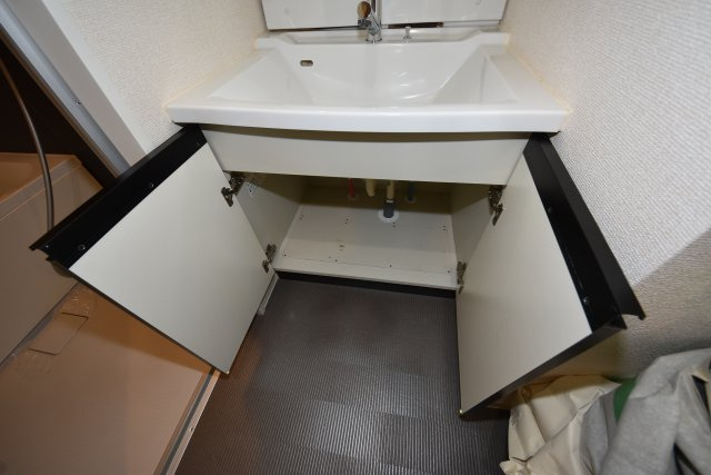 ラメゾンヴェルテの洗面所