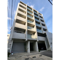 ホワイト・ウィステリアの画像