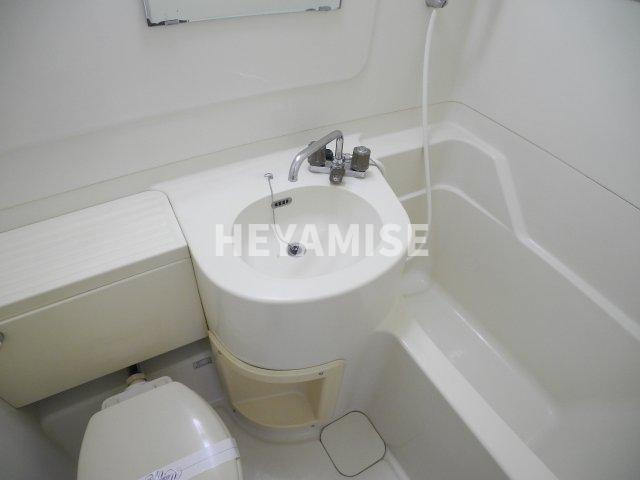 ニスクハイムの洗面所