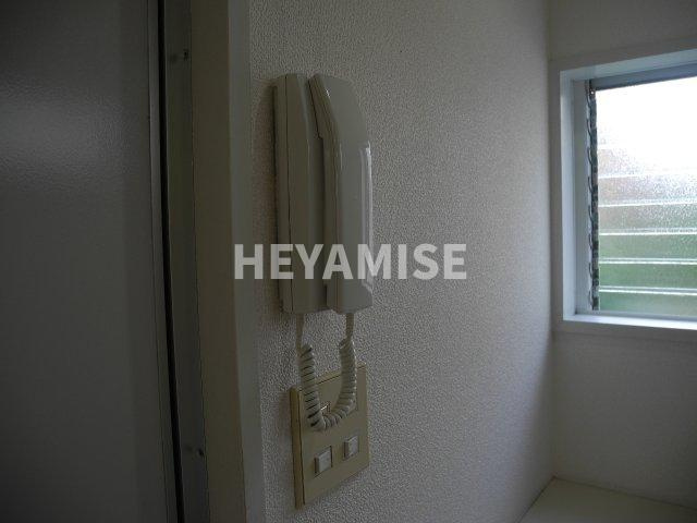 ニスクハイムのセキュリティ