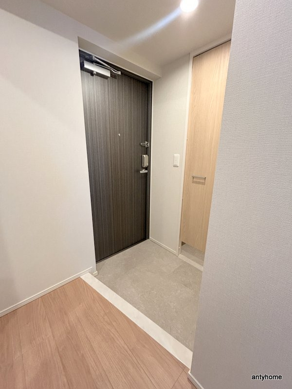 グランセジュール大国町の玄関