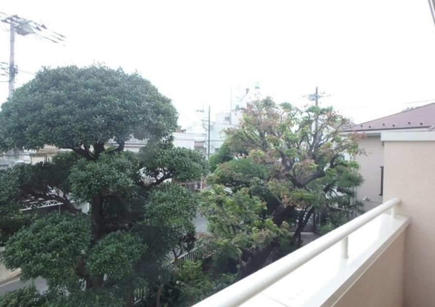 ミッテルドルフ新江古田(テラスハウス)の展望