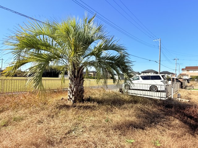 神栖市太田中古戸建の庭
