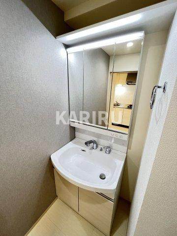 セイワパレス森ノ宮中央の洗面所|使いやすい洗面所です