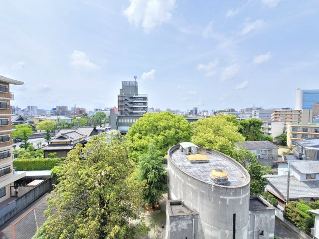 プリマヴェーラ花の木 弐番館の展望