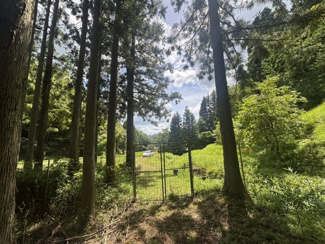  | 丹波篠山市小倉　山林
