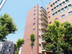 ドミール丸好の画像