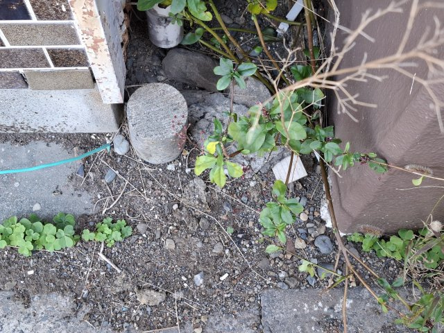 【周辺】の画像