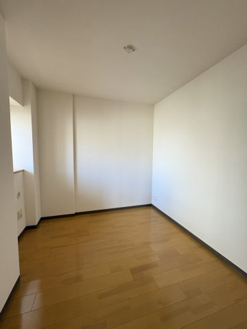 リコリスのその他