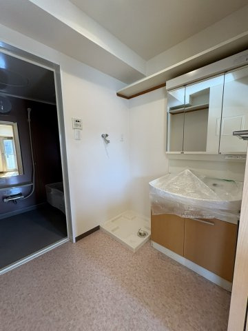 リコリスの洗面所