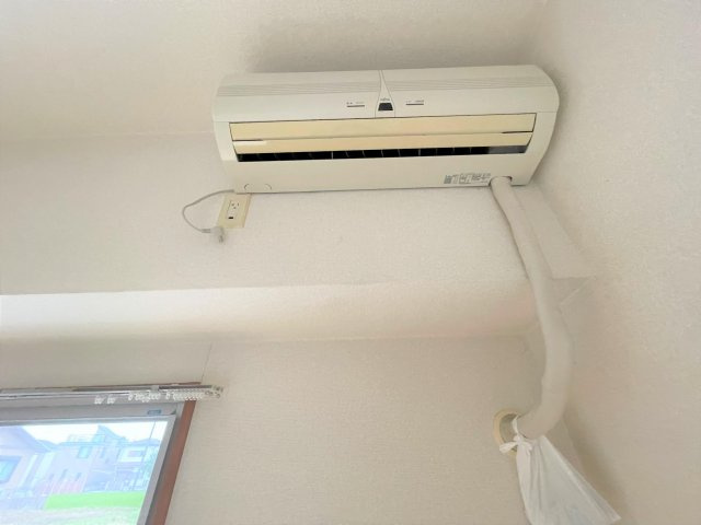 グレイストーエイのその他