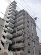 アブニール白妙の画像