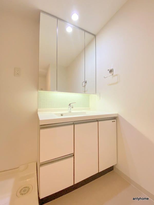 ビエラコート内久宝寺　仲介手数料無料の洗面所